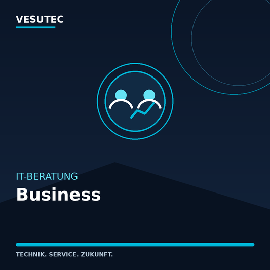 IT-Beratung Business – VESUTEC Dienstleistung
