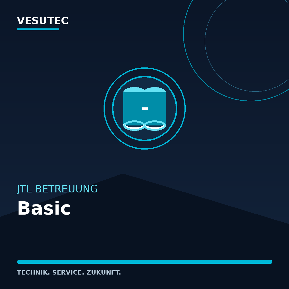 JTL Betreuung Basic – VESUTEC Dienstleistung