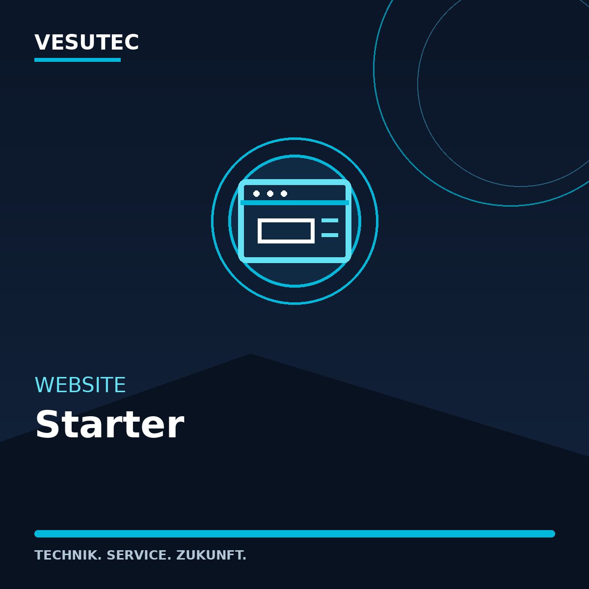 Website Starter – VESUTEC Dienstleistung
